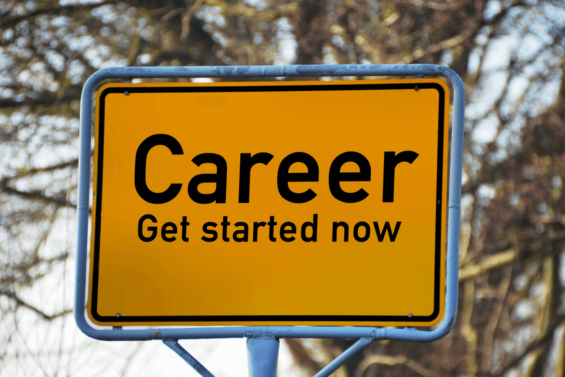 career coaching career advice career test